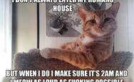 I don't always enter my human's house