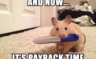 It's payback time. A mouse with a laser pointer.