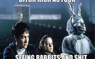 B*tch high as f**k, seeing rabbits and sh*t